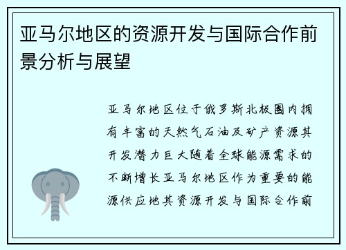 亚马尔地区的资源开发与国际合作前景分析与展望