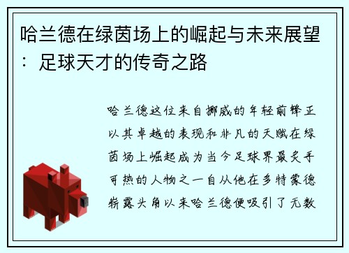 哈兰德在绿茵场上的崛起与未来展望：足球天才的传奇之路